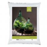 Planten Terrarium potgrond 5L